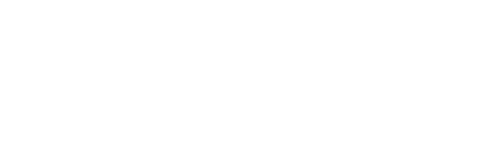 Vera Organização Contábil